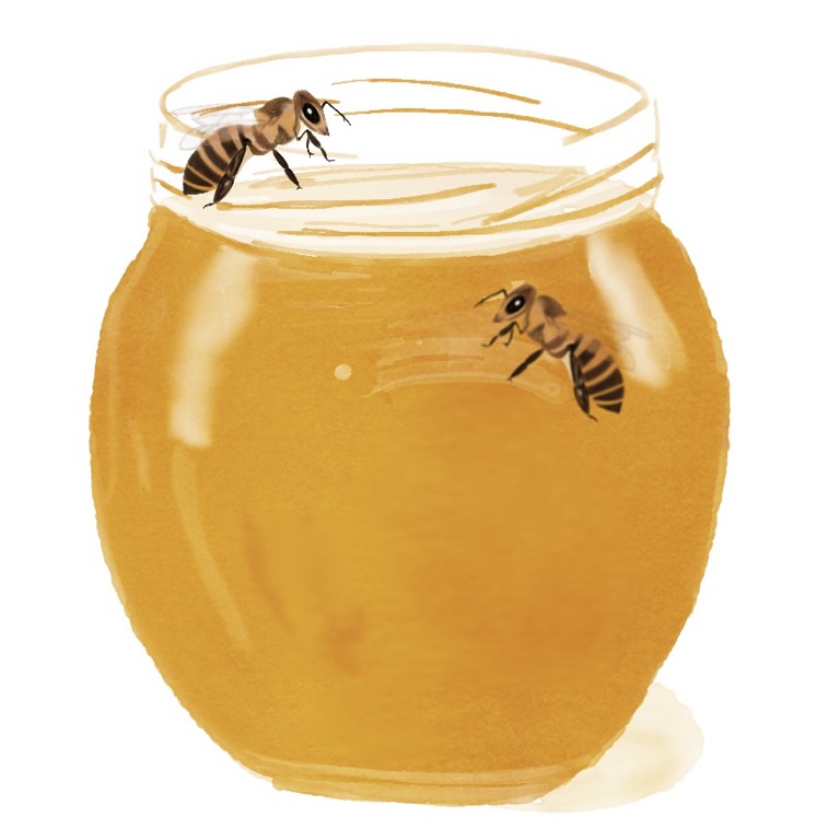 Dryppende honning